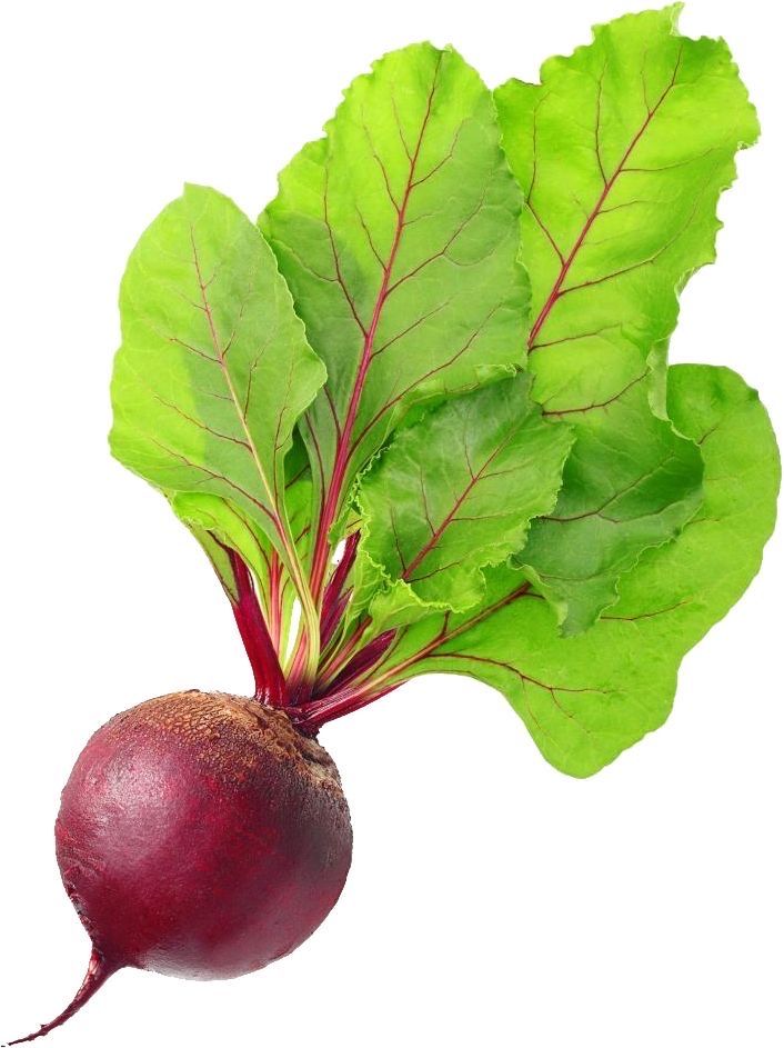 Remolacha