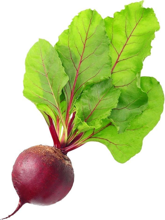 Remolacha