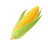 Maiz Amarillo