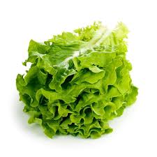 Lechuga criolla